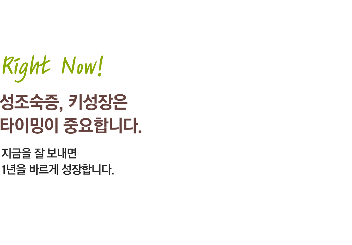 컨텐츠 이미지