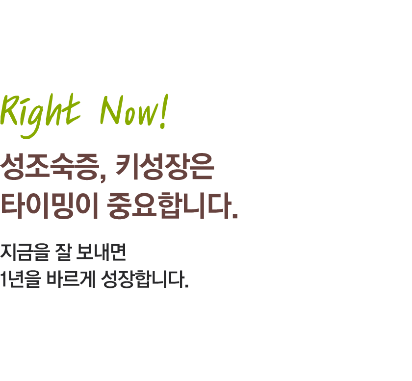 모바일 컨텐츠 이미지