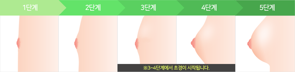 컨텐츠 이미지