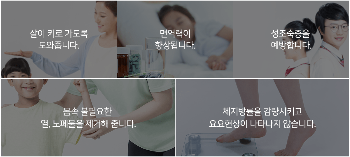 컨텐츠 이미지