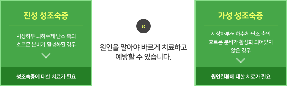 컨텐츠 이미지