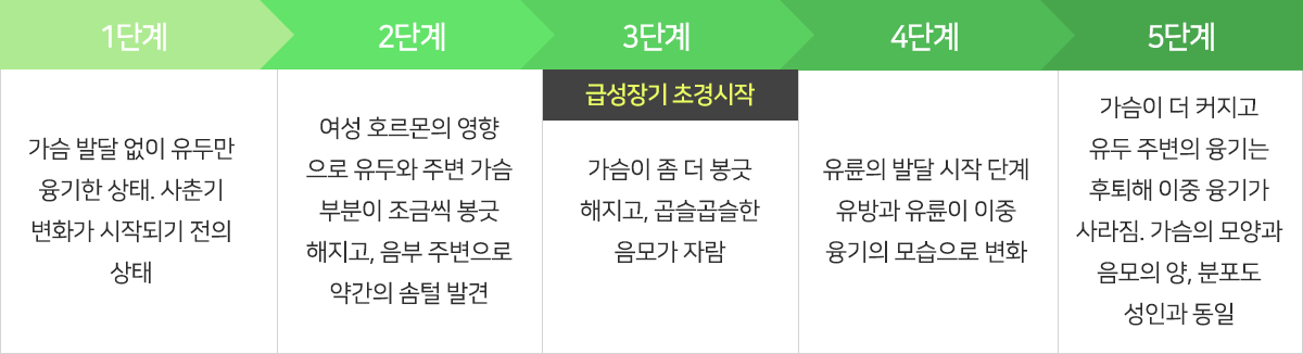 컨텐츠 이미지