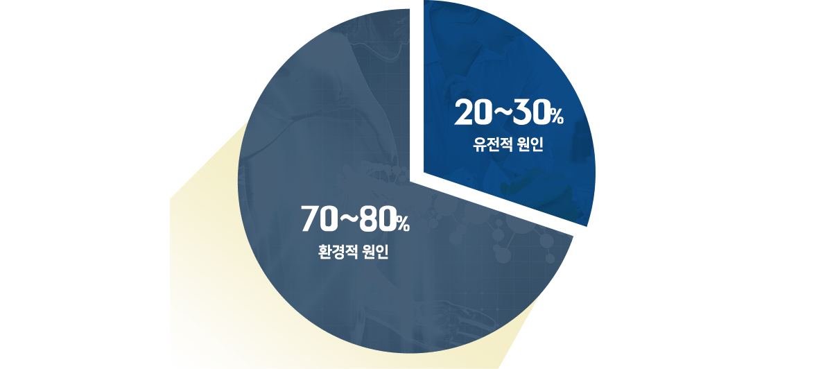 컨텐츠 이미지