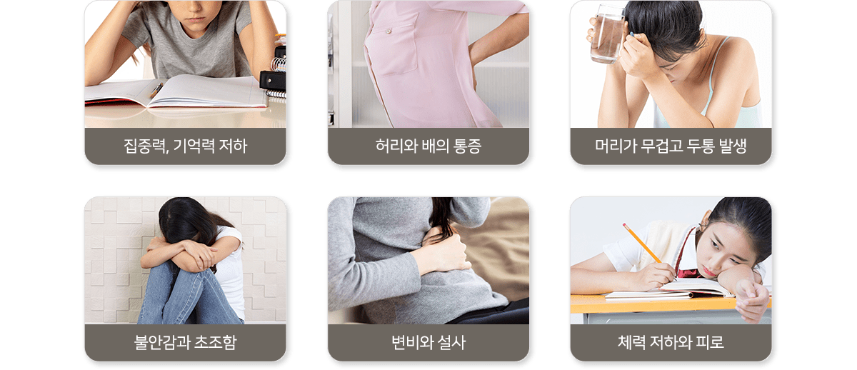 컨텐츠 이미지