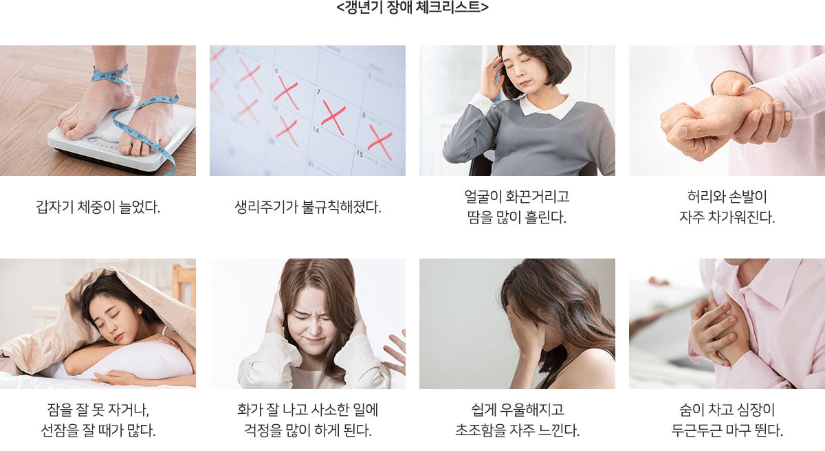 컨텐츠 이미지