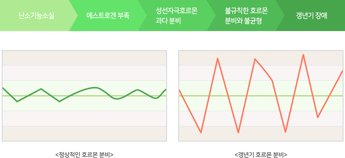 컨텐츠 이미지