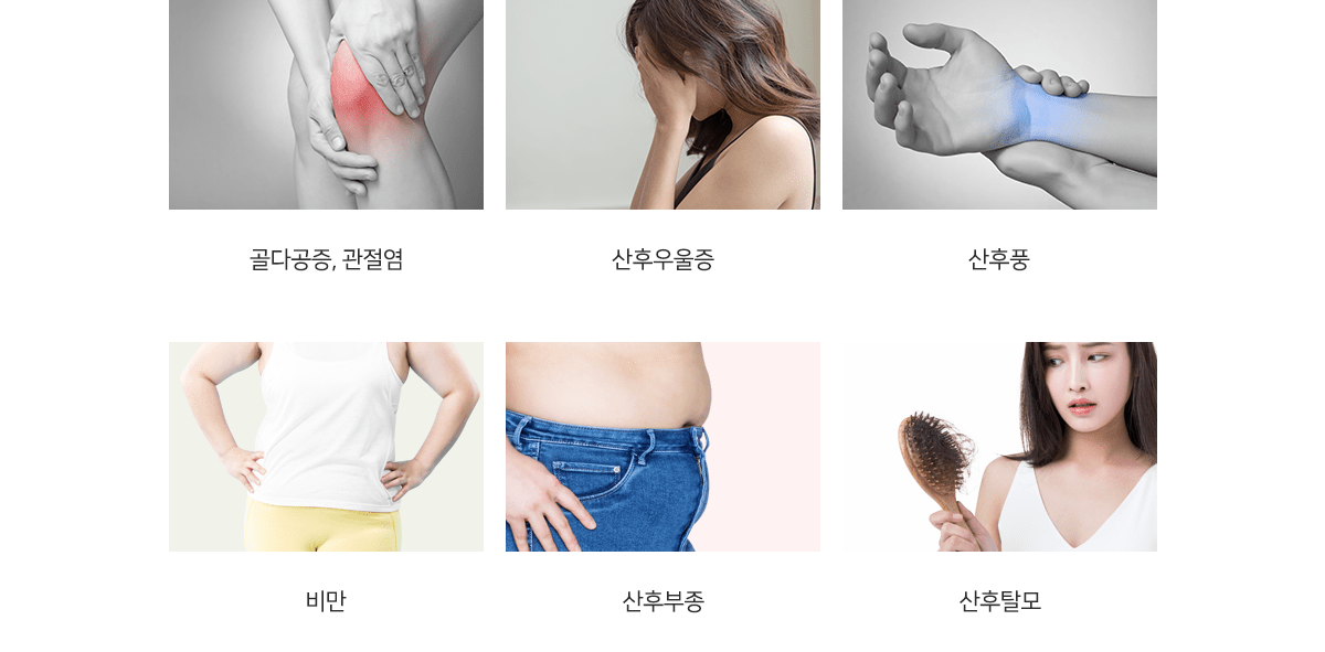 컨텐츠 이미지