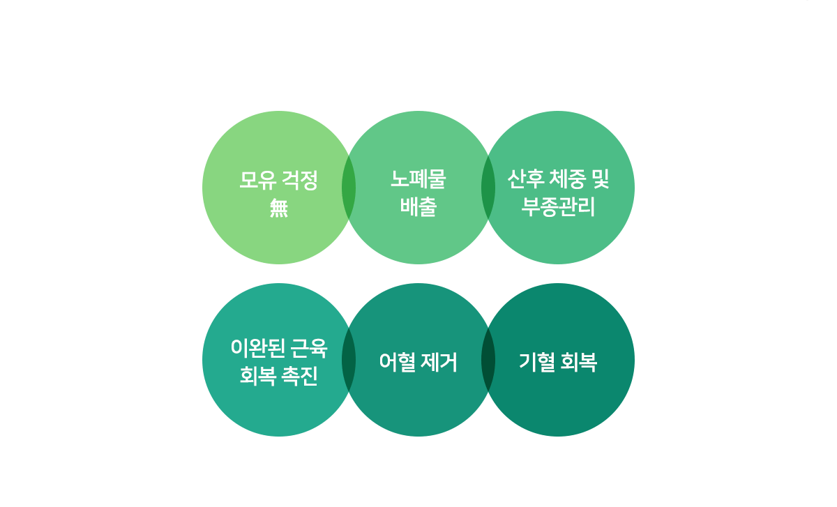 컨텐츠 이미지