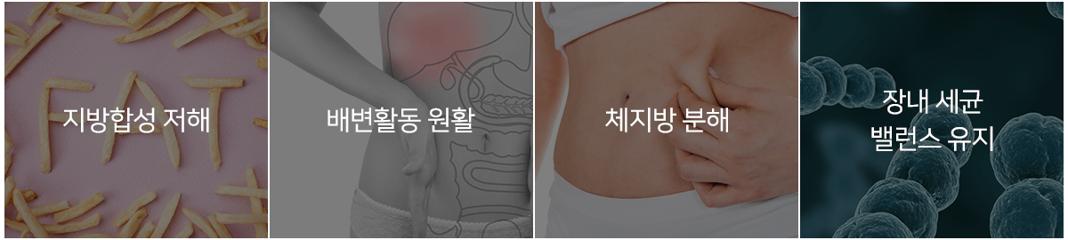 컨텐츠 이미지