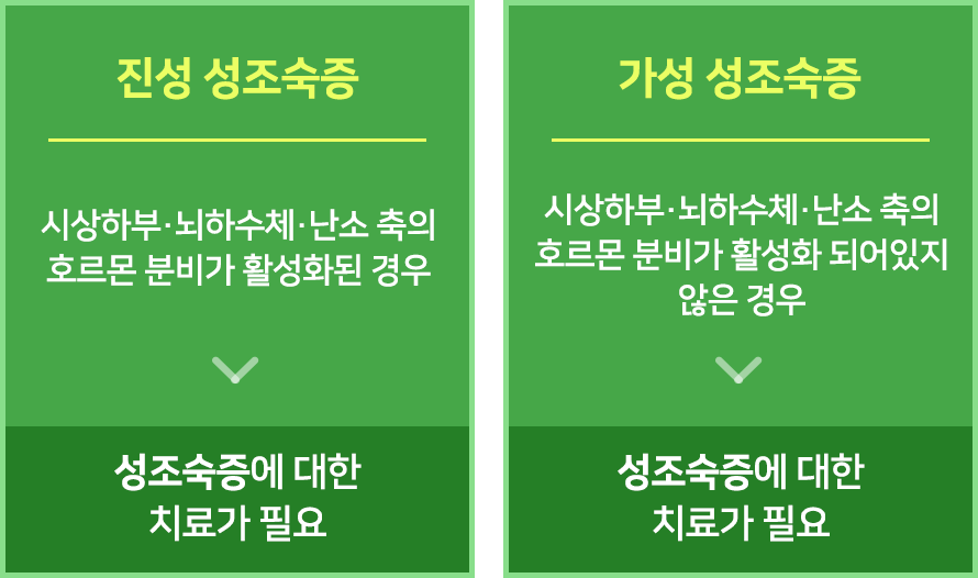 컨텐츠 이미지