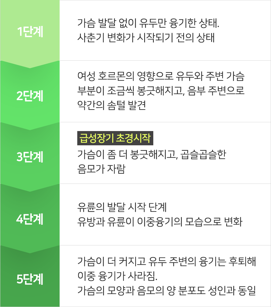 컨텐츠 이미지