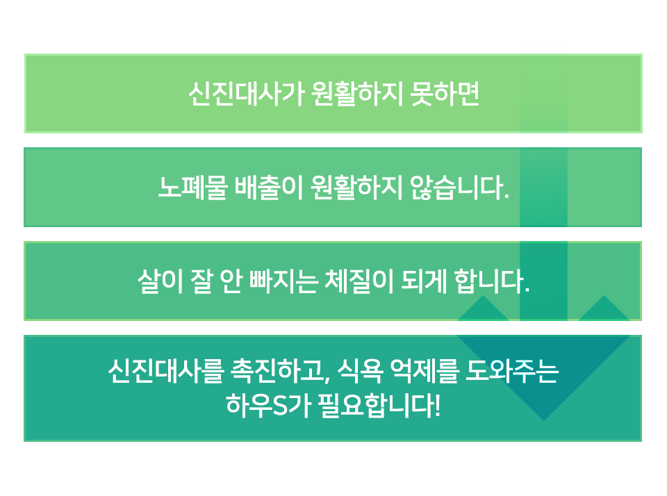컨텐츠 이미지