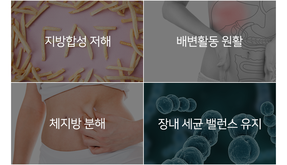 컨텐츠 이미지